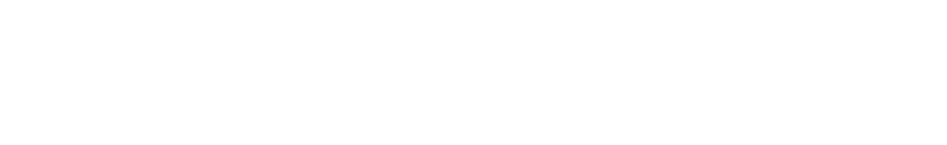 FounderFlix logo blanc lettres